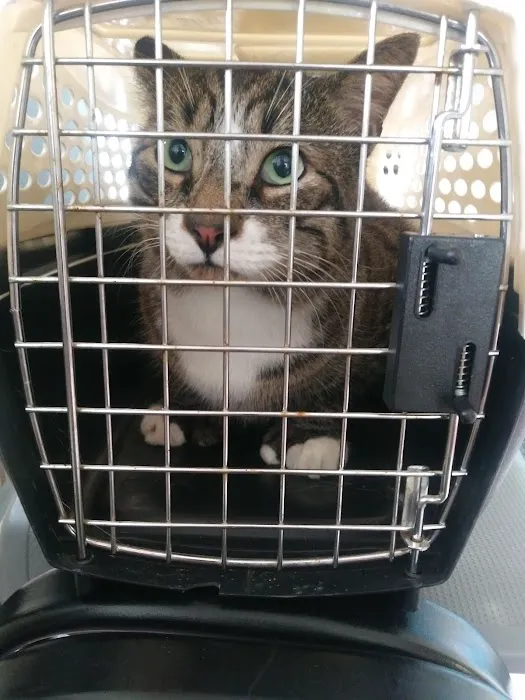 Hoffman Animal Hospital Picture 5