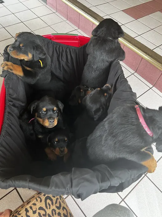 Hoffman Animal Hospital Picture 7