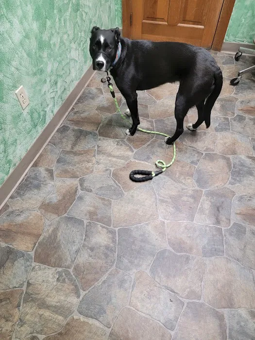 Paxton Animal Hospital Picture 3