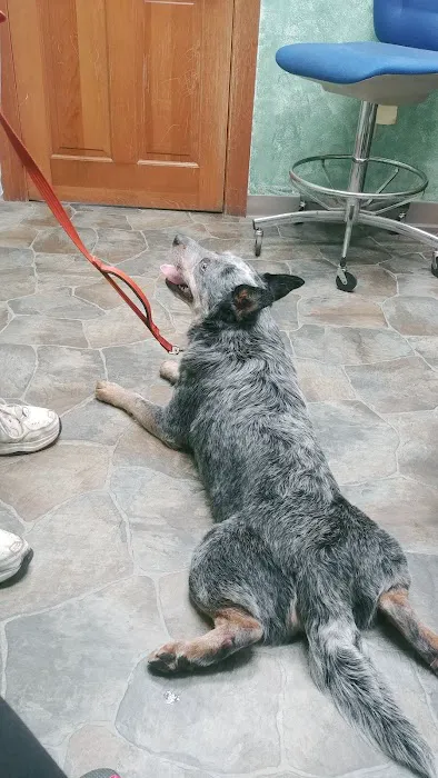 Paxton Animal Hospital Picture 4