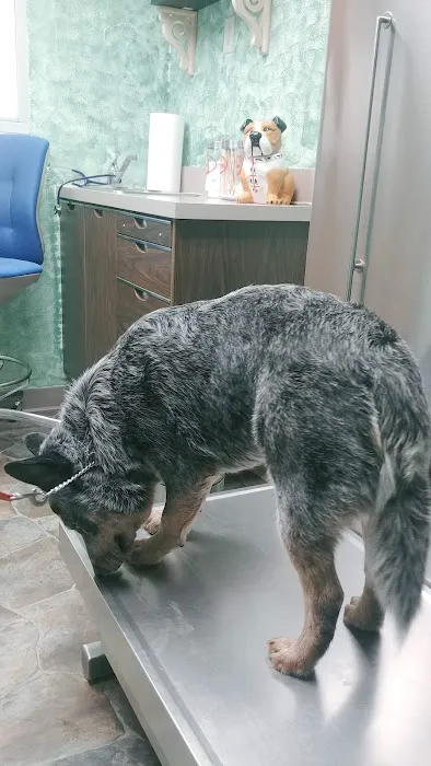 Paxton Animal Hospital Picture 6