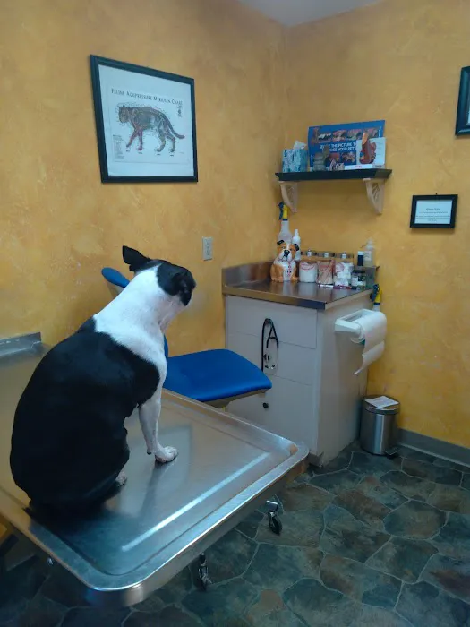 Paxton Animal Hospital Picture 7