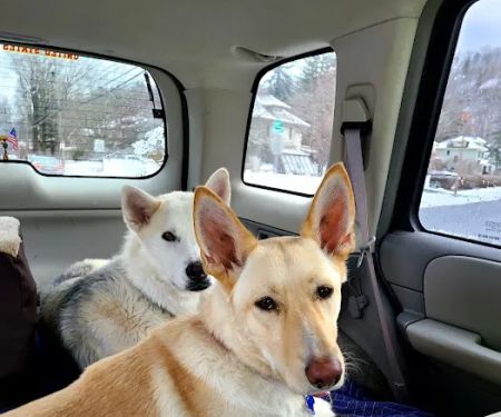Pioneer Valley Veterinary Hospital, Inc