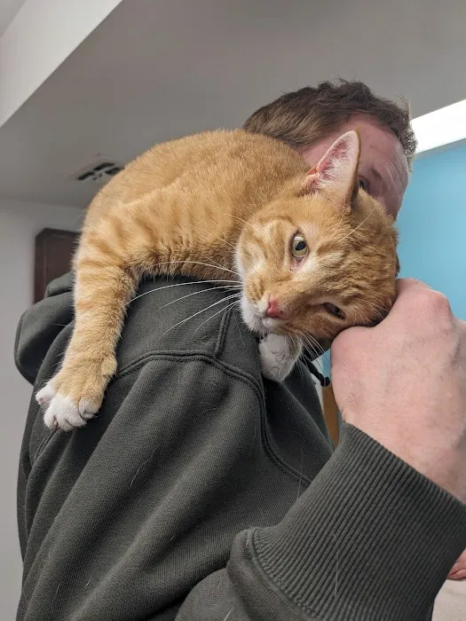 Brookside Animal Hospital Picture 2