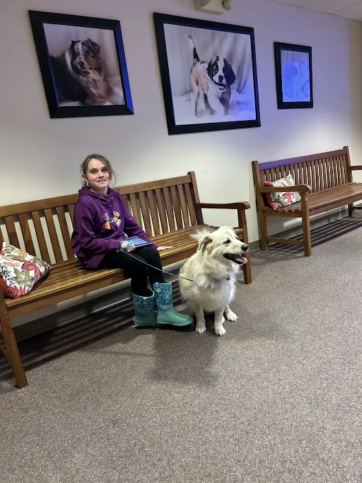 Hubbardston Veterinary Clinic Picture 6