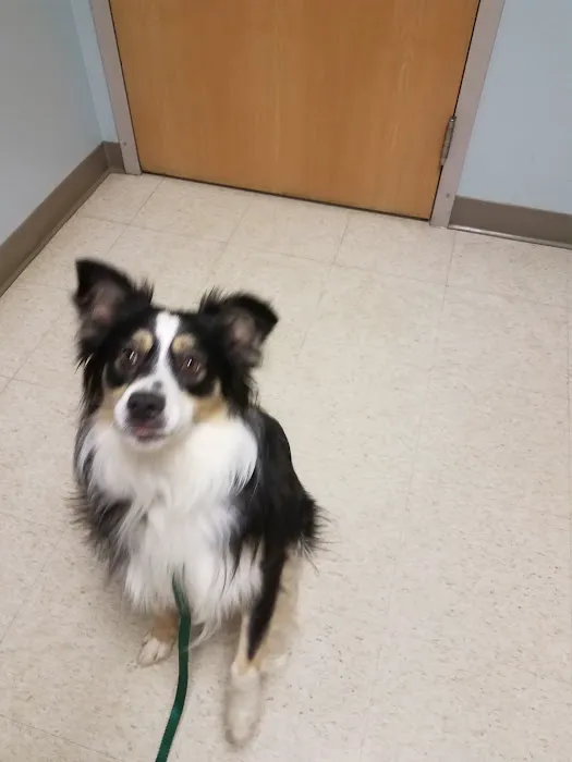 Hubbardston Veterinary Clinic Picture 8
