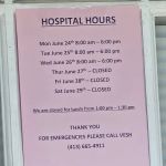 Adams Animal Hospital: Bergantino Robert DVM