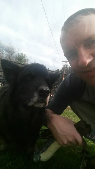 VCA Adams Animal Hospital Picture 5