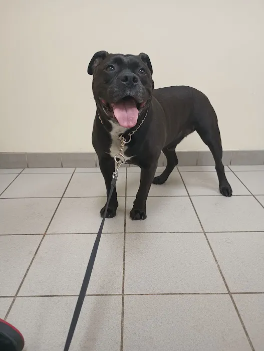 Gardner Animal Care Center Picture 1