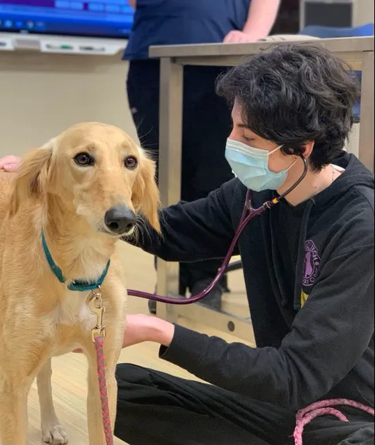 Monty Tech Veterinary Clinic Picture 6