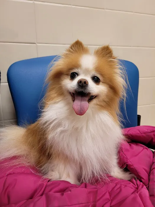Monty Tech Veterinary Clinic Picture 5