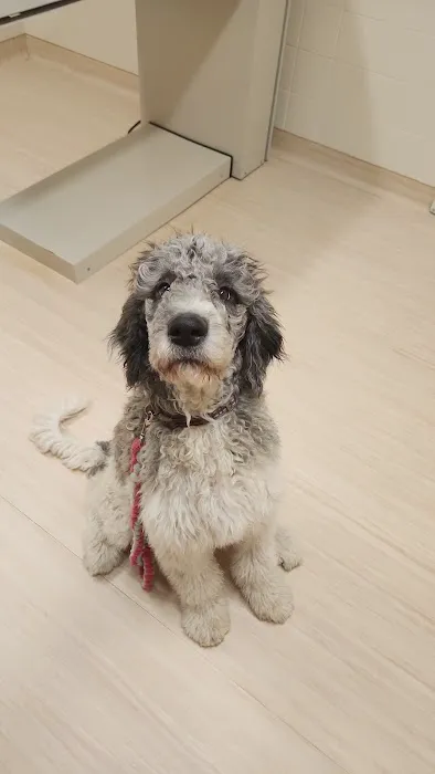 Monty Tech Veterinary Clinic Picture 9