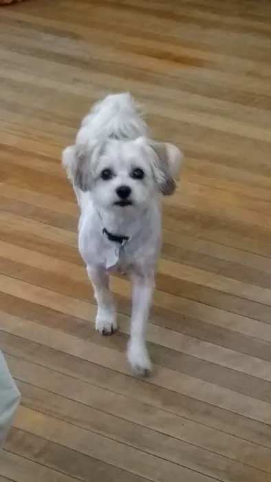 Monty Tech Veterinary Clinic Picture 10