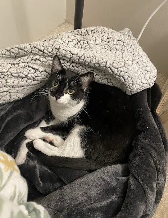 Veterinary Urgent Care Center - Worcester Picture 1