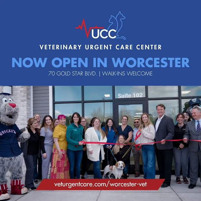 Veterinary Urgent Care Center - Worcester Picture 4