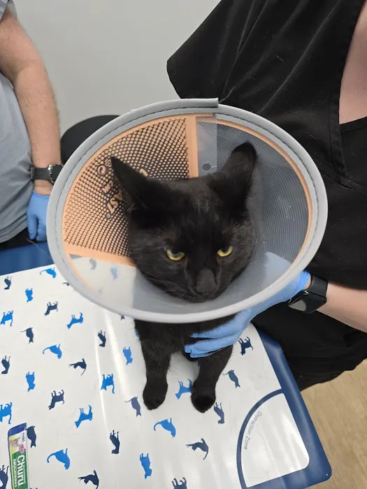 Veterinary Urgent Care Center - Worcester Picture 9