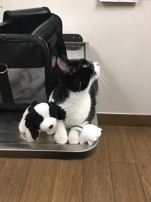 VCA Abbott Animal Hospital Picture 1