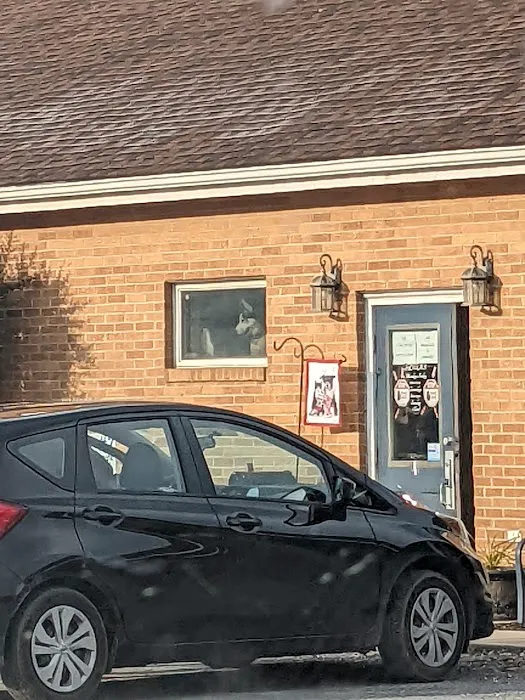 Edgewater Animal Hospital PC Picture 1