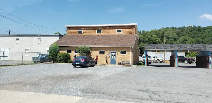 Edgewater Animal Hospital PC Picture 3
