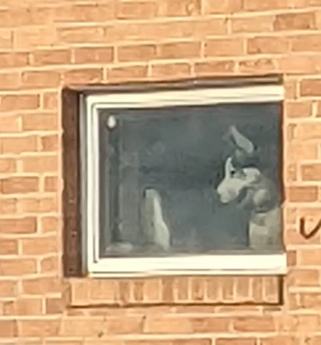 Edgewater Animal Hospital PC Picture 8