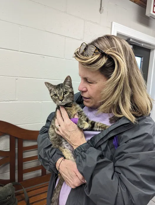 Edgewater Animal Hospital PC Picture 10