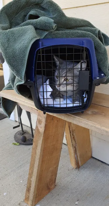 Wintergreen Animal Clinic Picture 1