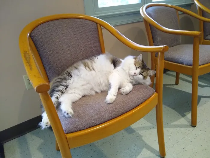 Rockfish Valley Veterinary Clinic Picture 3