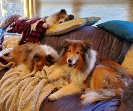 Rockfish Valley Veterinary Clinic