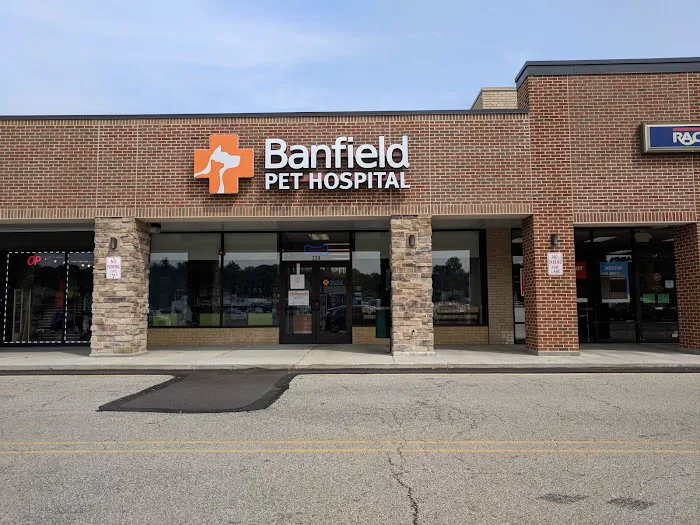 Banfield Pet Hospital Picture 2