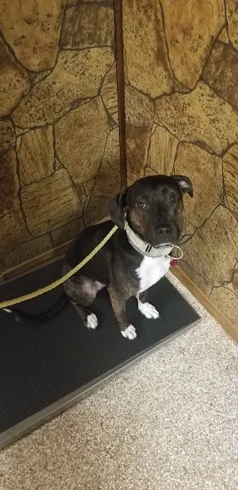 Thornwood Veterinary Hospital Picture 5