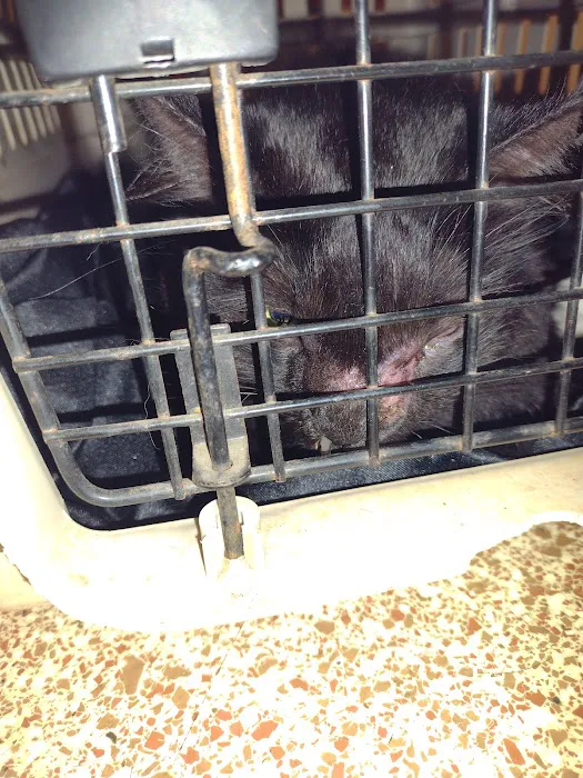 Thornwood Veterinary Hospital Picture 8