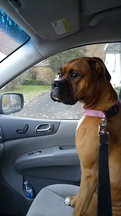 Thornwood Veterinary Hospital Picture 9