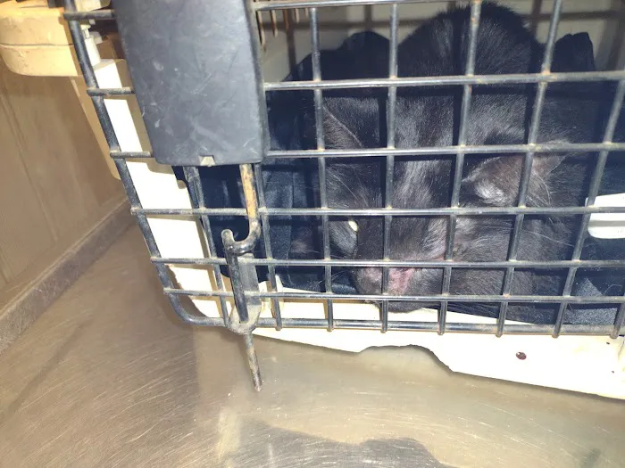 Thornwood Veterinary Hospital Picture 10