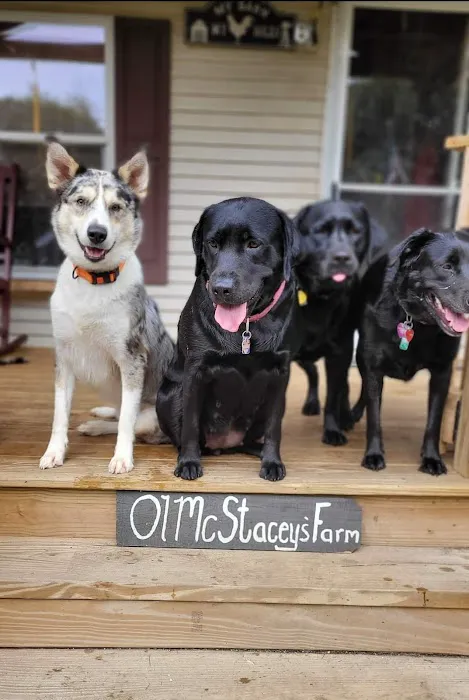 Orchard Creek Veterinary Hospital Picture 5