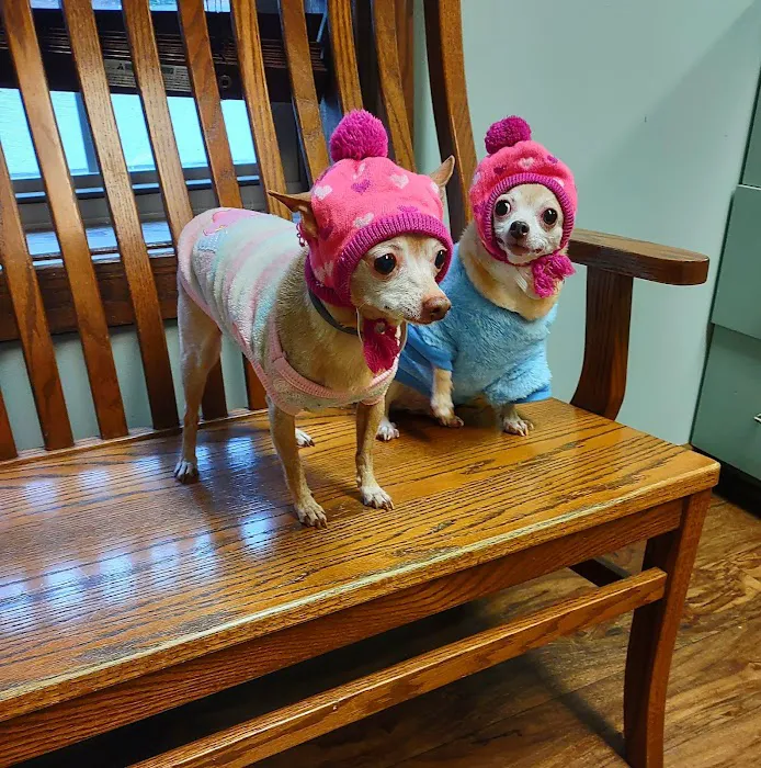 Whispering Pines Veterinary Services - Grove City Picture 4