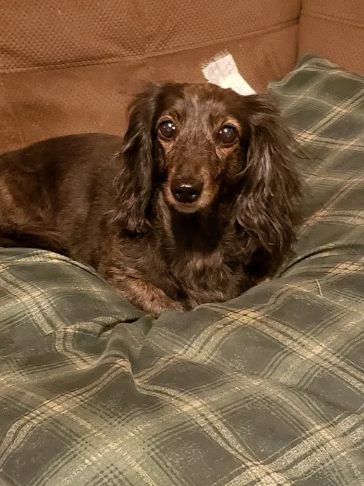 Whispering Pines Veterinary Services - Grove City Picture 2