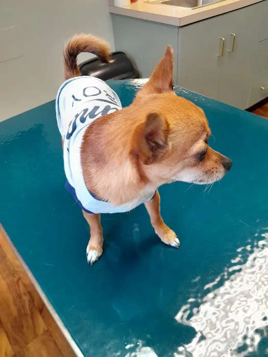 Whispering Pines Veterinary Services - Grove City Picture 6