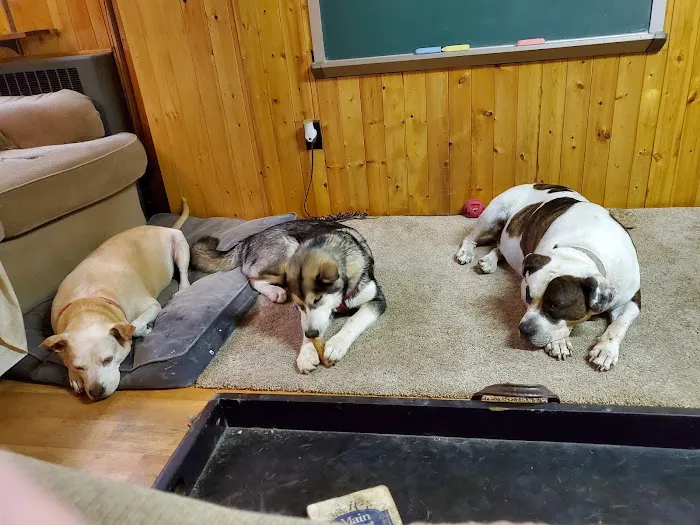 Whispering Pines Veterinary Services - Grove City Picture 9