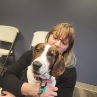 Apple Grove Veterinary Clinic ico