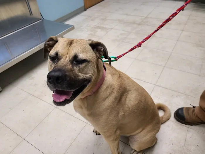 Apple Grove Veterinary Clinic Picture 2
