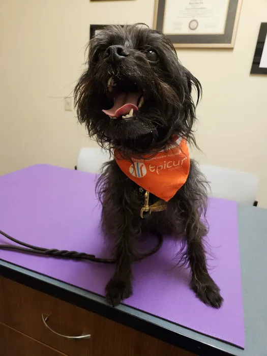 Animal Eye Clinic-Pittsburgh Picture 2