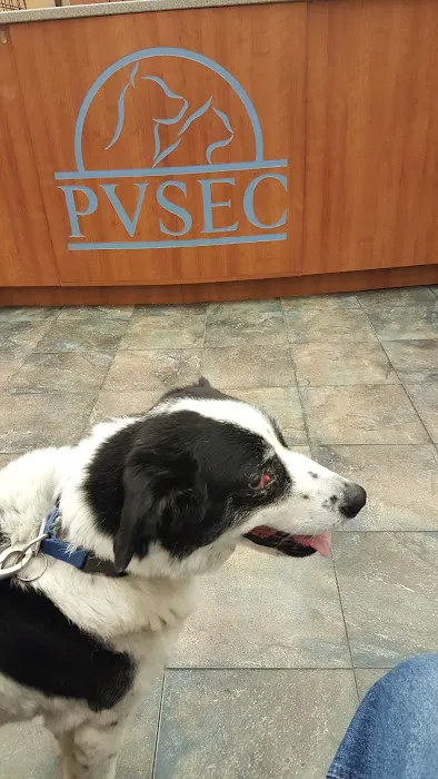 Animal Eye Clinic-Pittsburgh Picture 1