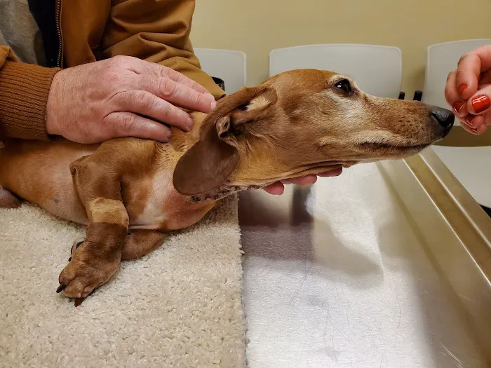 Pittsburgh Veterinary Cardiology Picture 2