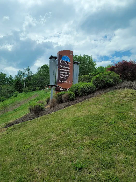 Pittsburgh Veterinary Cardiology Picture 10