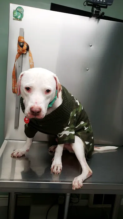 Animal Medical Center of Kennedy Township P.C. Picture 8