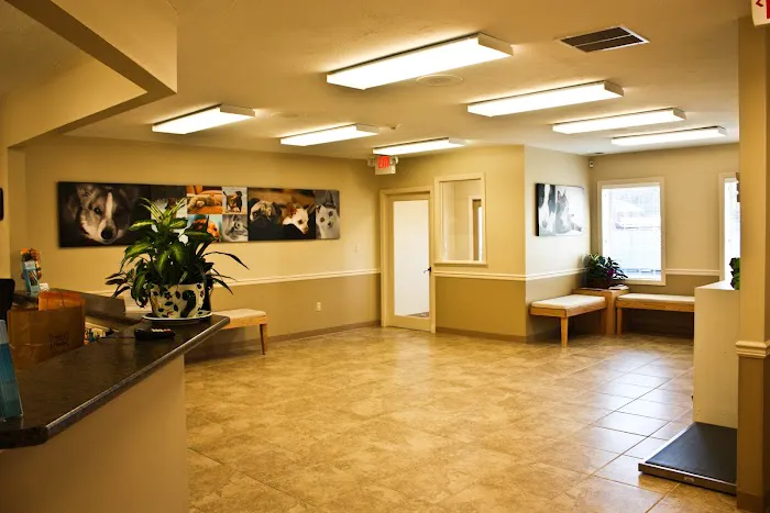 Grace Animal Hospital Picture 2
