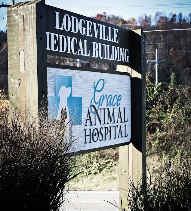 Grace Animal Hospital Picture 1