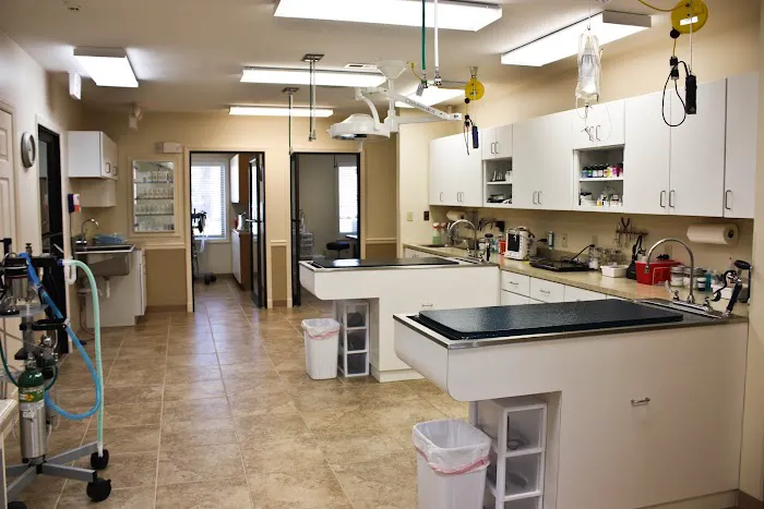 Grace Animal Hospital Picture 3