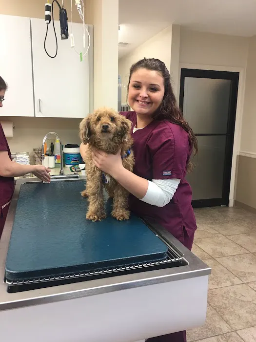 Grace Animal Hospital Picture 6