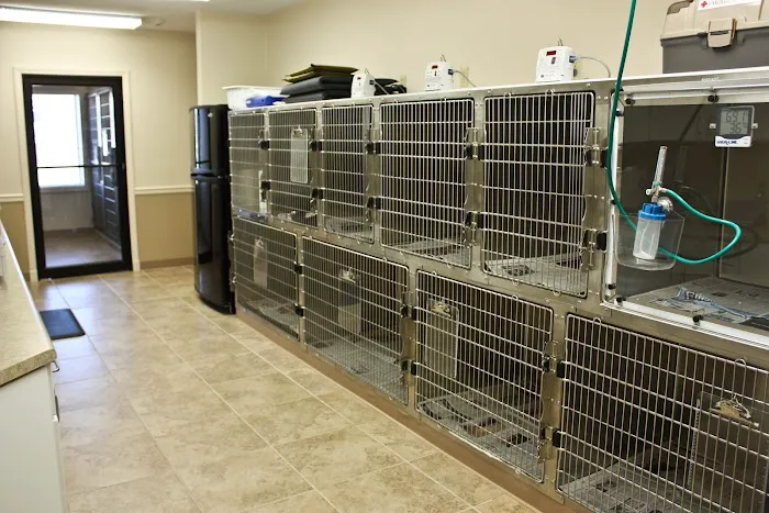 Grace Animal Hospital Picture 5